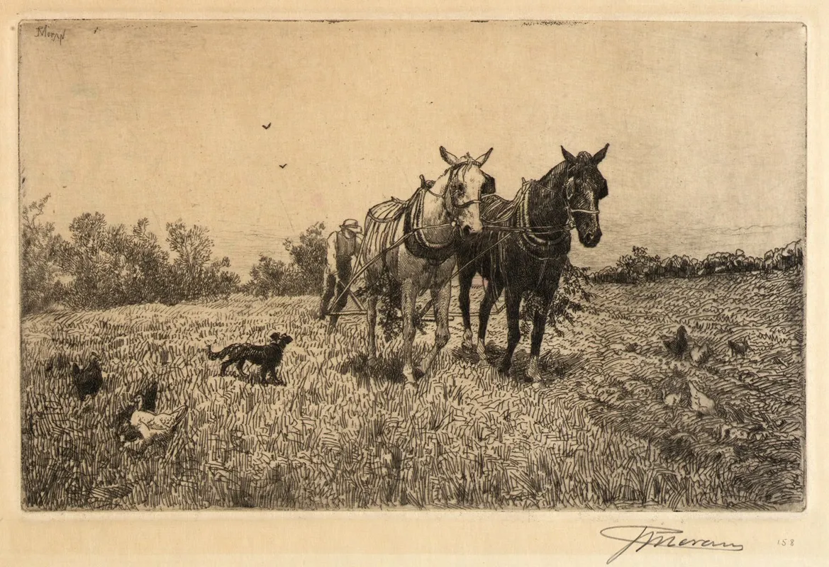 Fall Ploughing