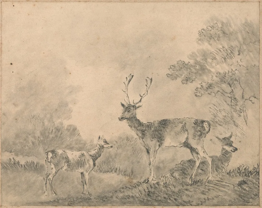 Fallow Deer Stag Doe And Fawn In A Clearing