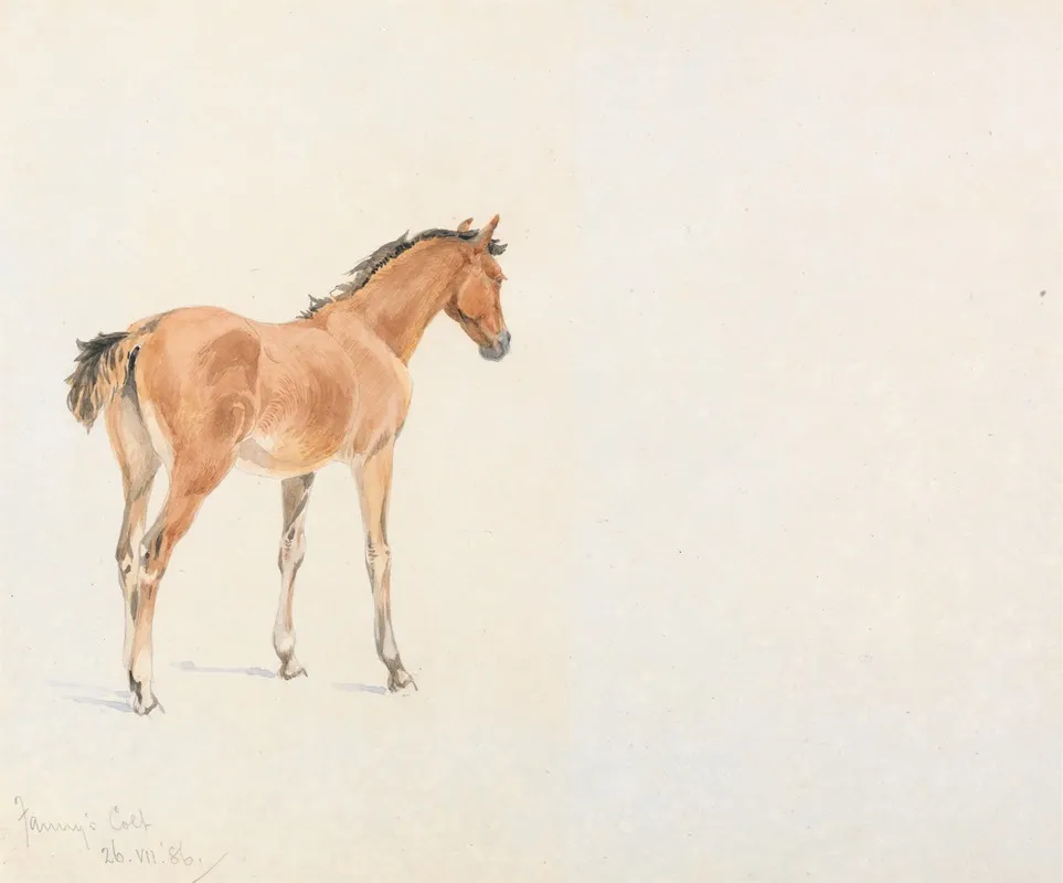 Fannys Colt July 26 1886
