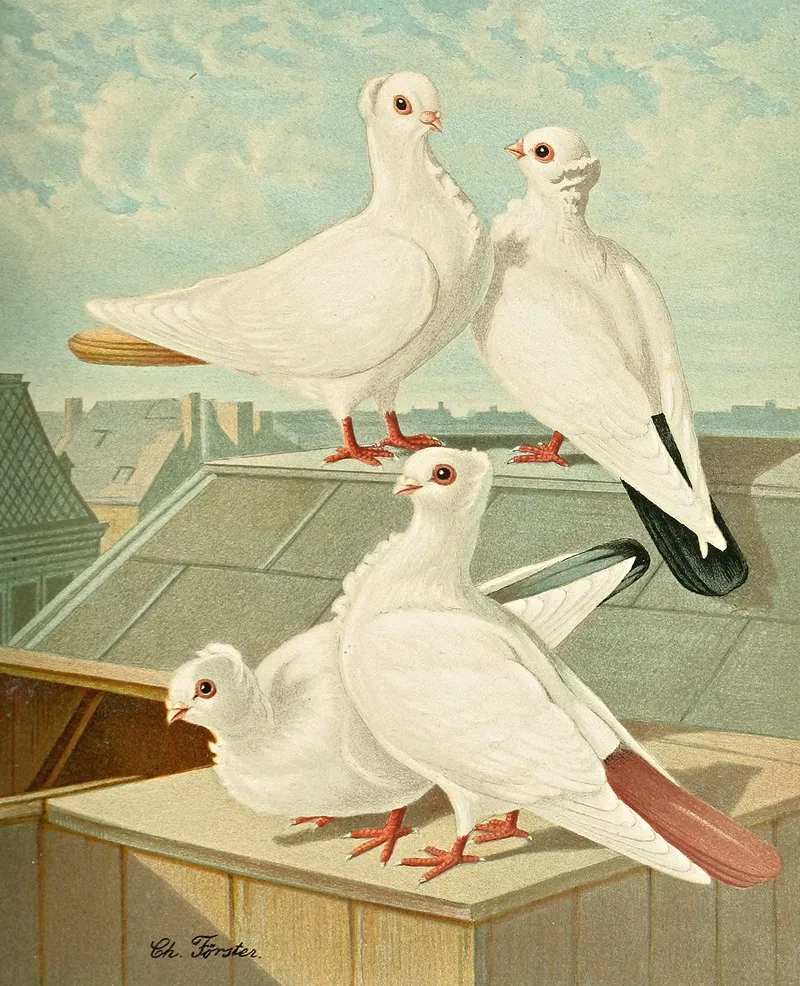 Farbenchwanzige Deutsche Movchen Wall Art by Gustav Prütz - High-Resolution Digital Print