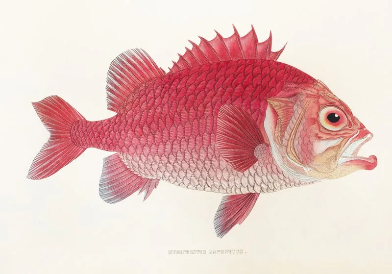 Fauna Japonica Pl 015 Wall Art by Philipp Franz Balthasar von Siebold - High-Resolution Digital Print