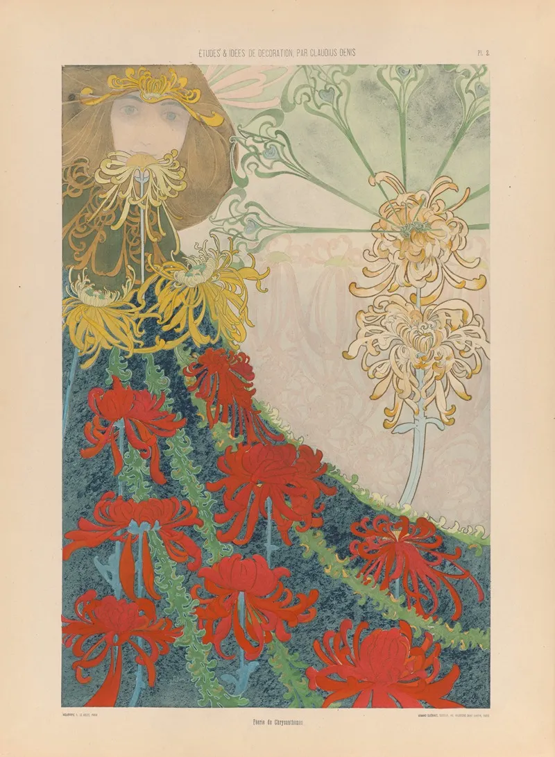 Feerie De Chrysanthemes