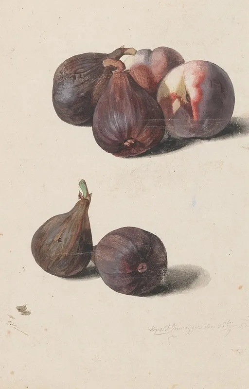 Feigen Und Pfirsiche Wall Art by Leopold Zinnögger - High-Resolution Digital Print