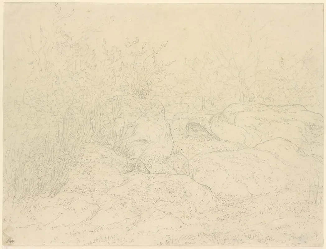 Felsen Im Wald Von Fontainebleau