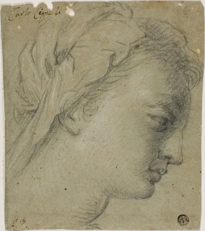 Female Head In Profile To Right Wall Art by Carlo Cignani - High-Resolution Digital Print