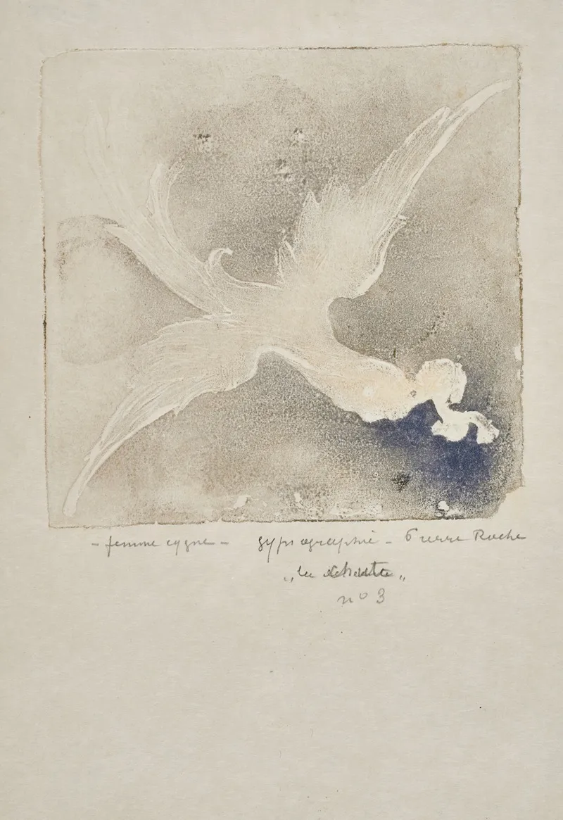 Femmes Cygnes Volantes V La Chute