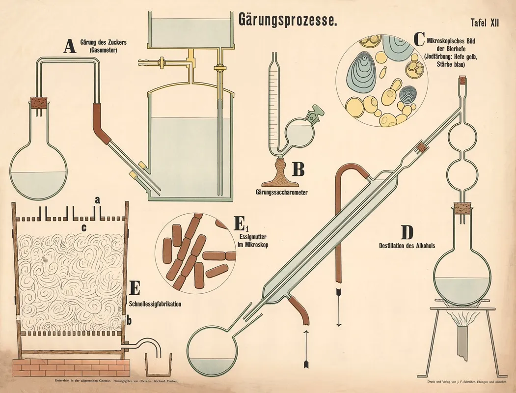 Fermentation Process Wall Art by Richard Otto Fischer - High-Resolution Digital Print
