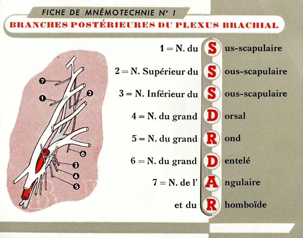 Fiche De Mnemotechnie No 1 Wall Art by Laboratoires Derol - High-Resolution Digital Print