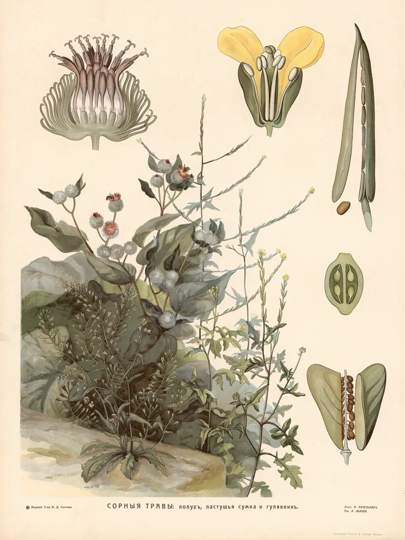 Field Mustard And Burdock Wall Art by T-va I. D. Sytina - High-Resolution Digital Print