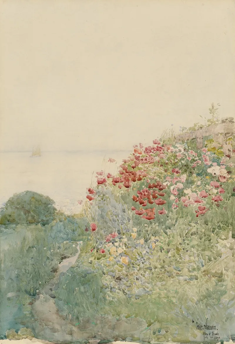 Field Of Poppies Isles Of Shoals