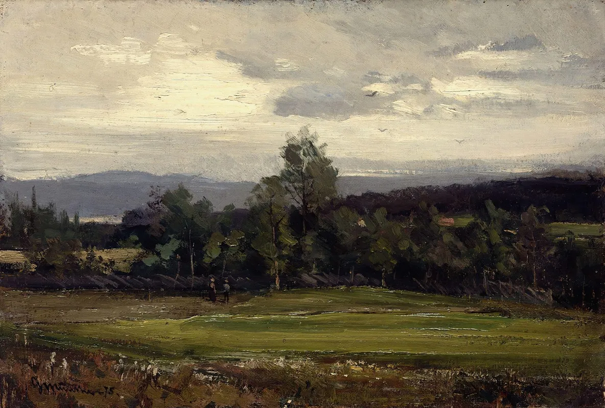 Fields At Hedmark In Summer