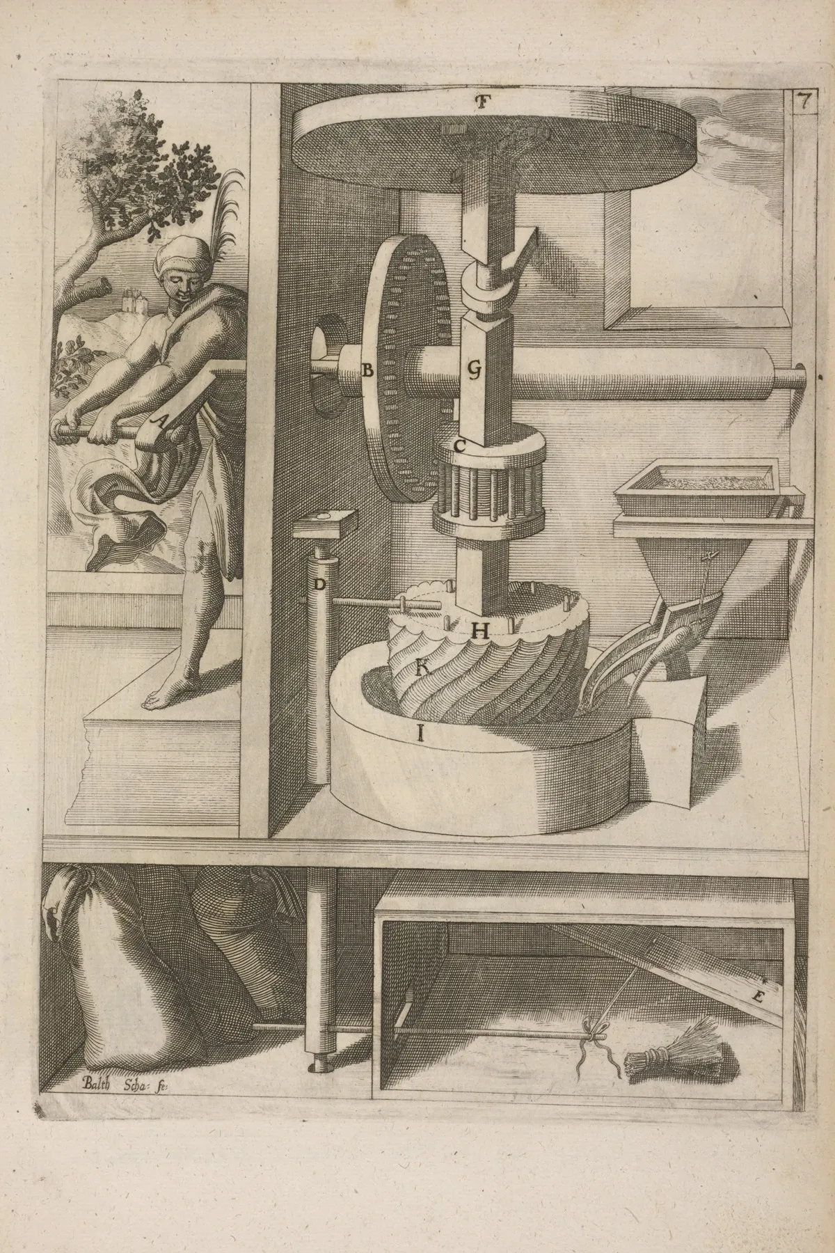 Fig Vii Chiromylos Aromaticus Wall Art by Georg Andreas Böckler - High-Resolution Digital Print