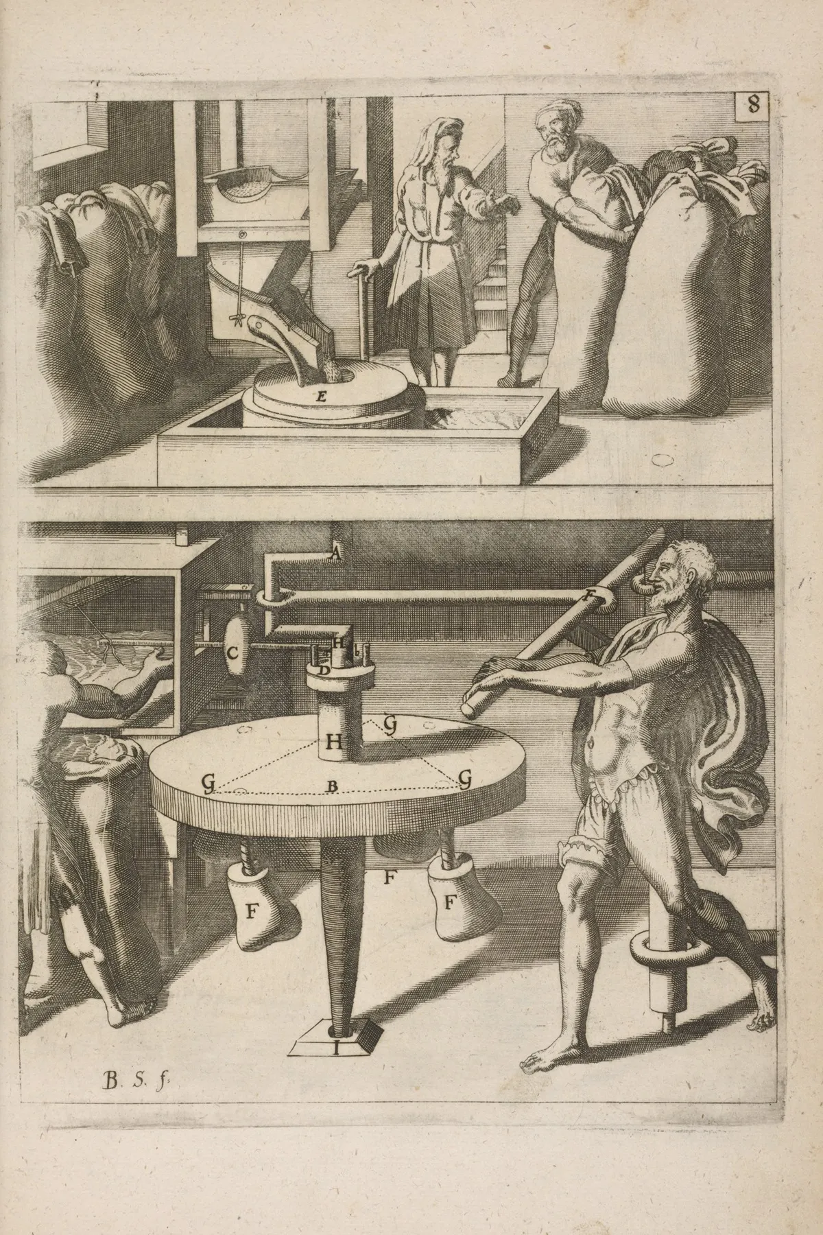 Fig Viii Chiromylos Frumentarius Wall Art by Georg Andreas Böckler - High-Resolution Digital Print