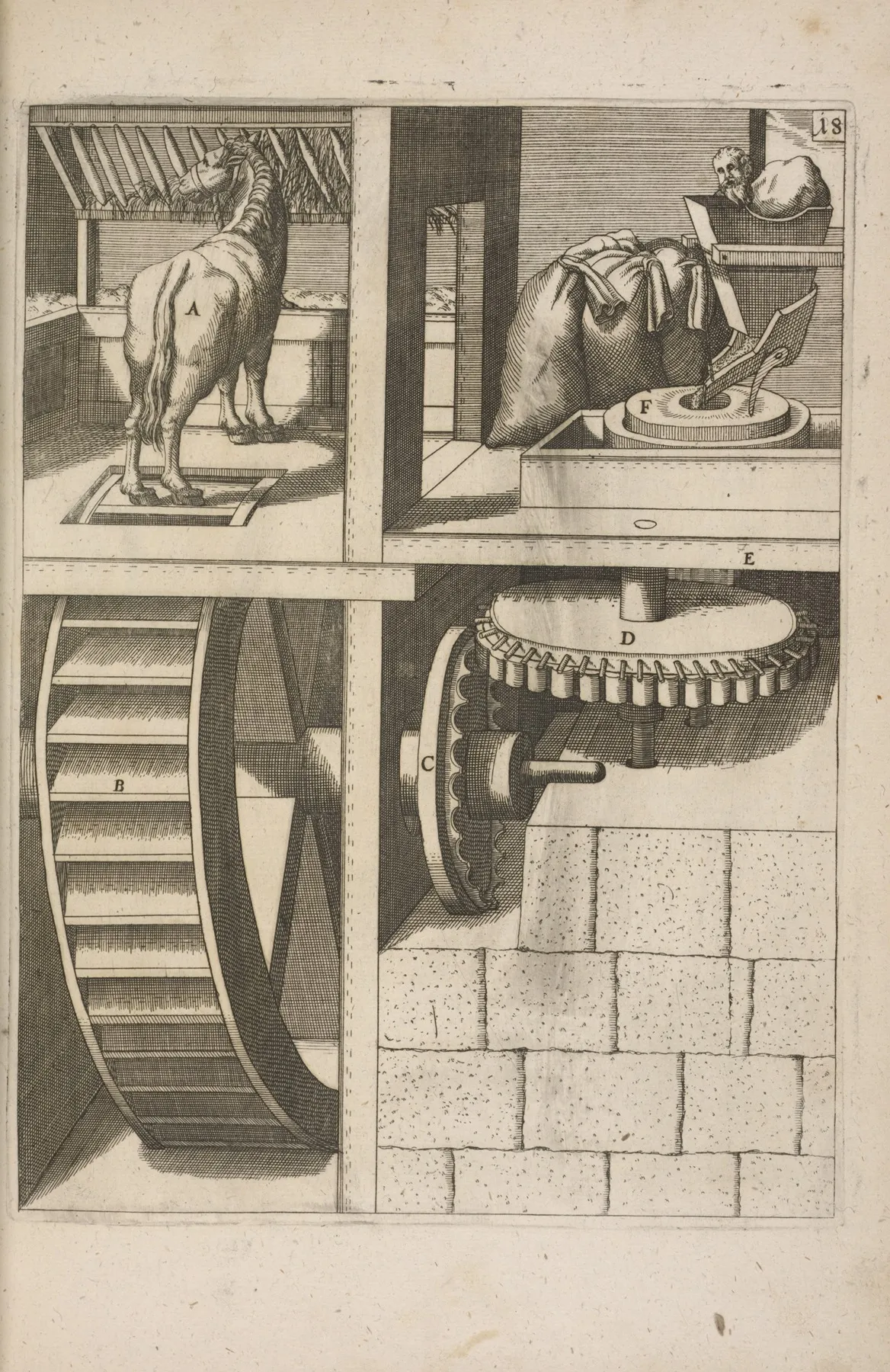 Fig Xiix Pateomylos Wall Art by Georg Andreas Böckler - High-Resolution Digital Print