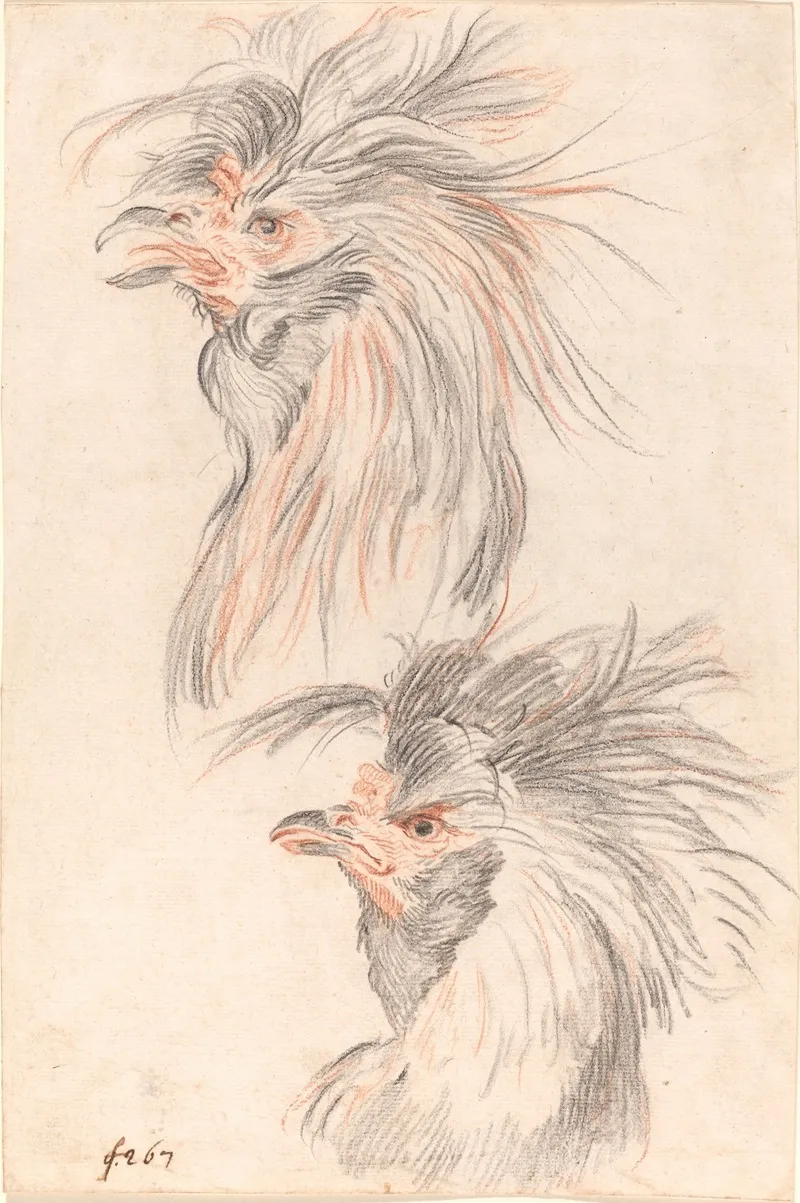 Fighting Cock Wall Art by Johann Rudolph Schellenberg - High-Resolution Digital Print
