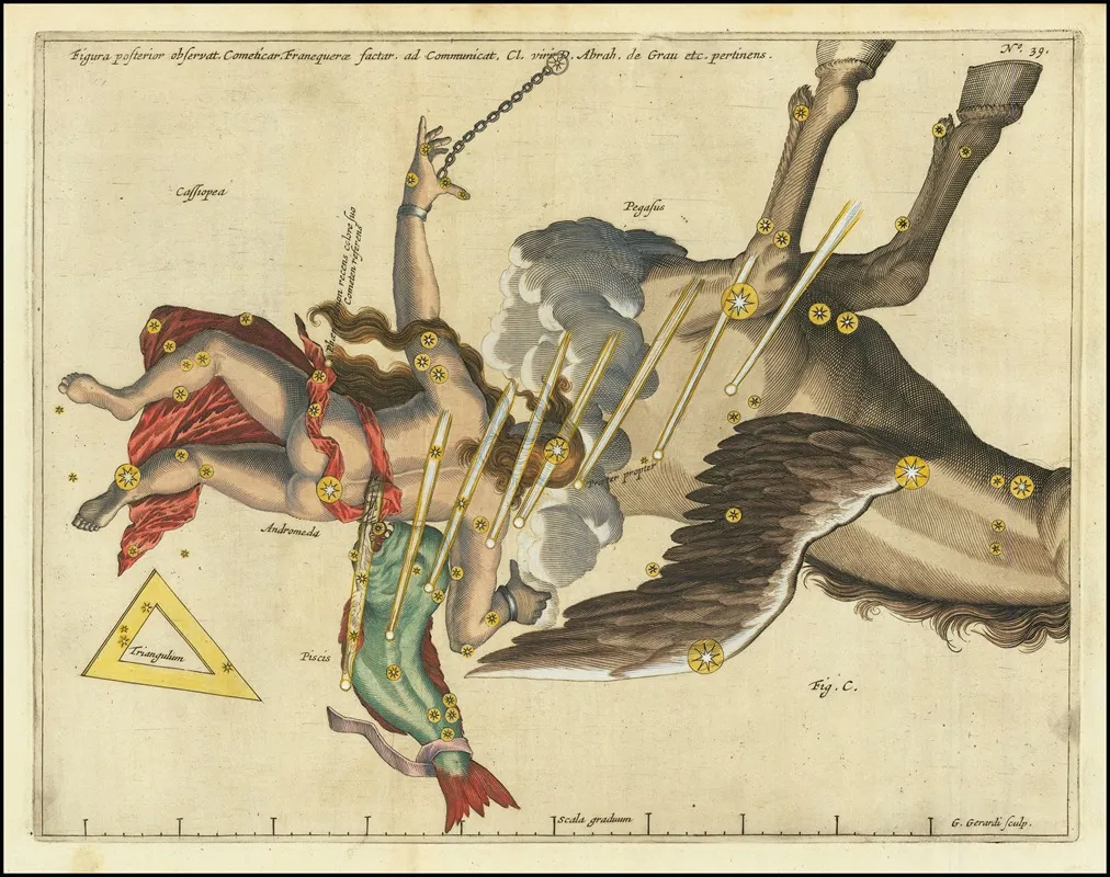 Figura Posterior Observat Cometicar Franequerae Factar Ad Communicat by Stanisław Lubieniecki - High-Resolution Digital Print