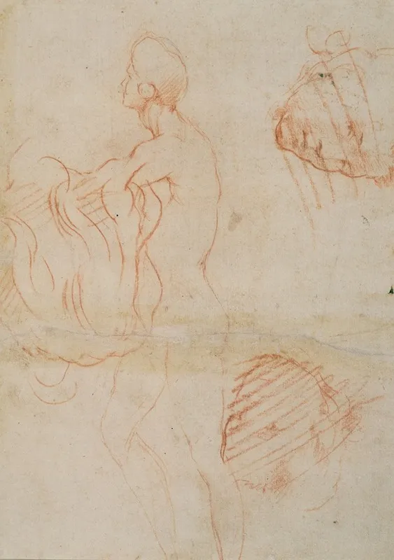 Figure Study And Face Wall Art by Andrea del Sarto - High-Resolution Digital Print