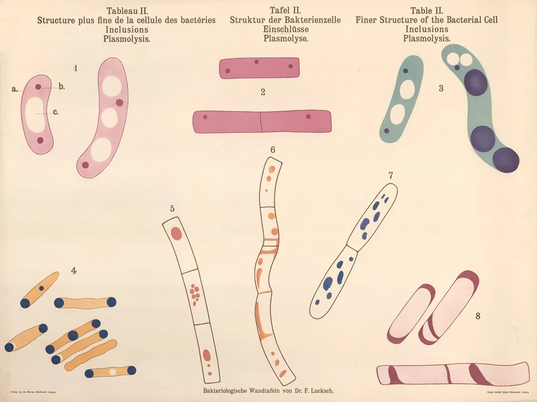 Finer Structure Of The Bacteria Cell Inclusions Wall Art by Hans Ernst August Buchner - High-Resolution Digital Print