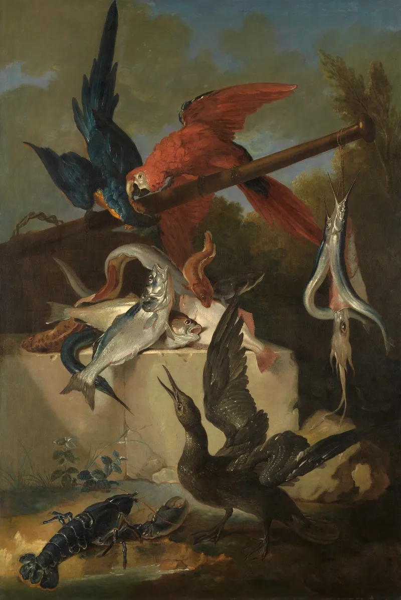Fische Seevogel Und Papageien
