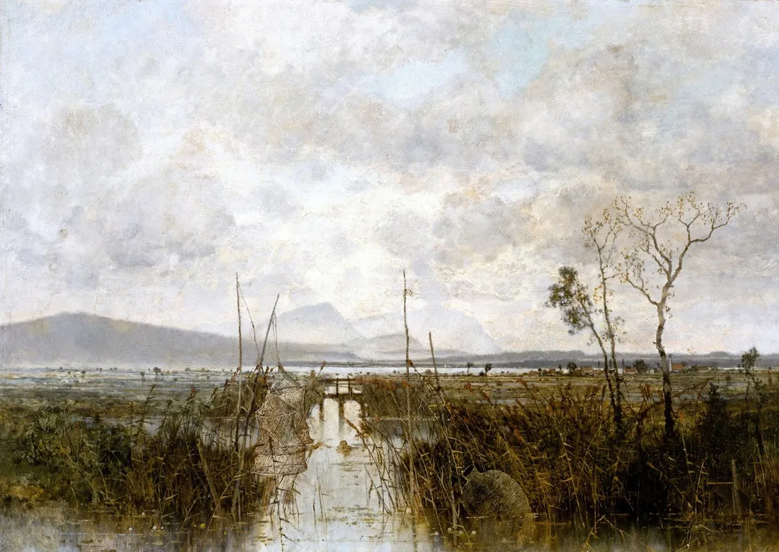Fischreusen Im Uferbereich Eines Sees