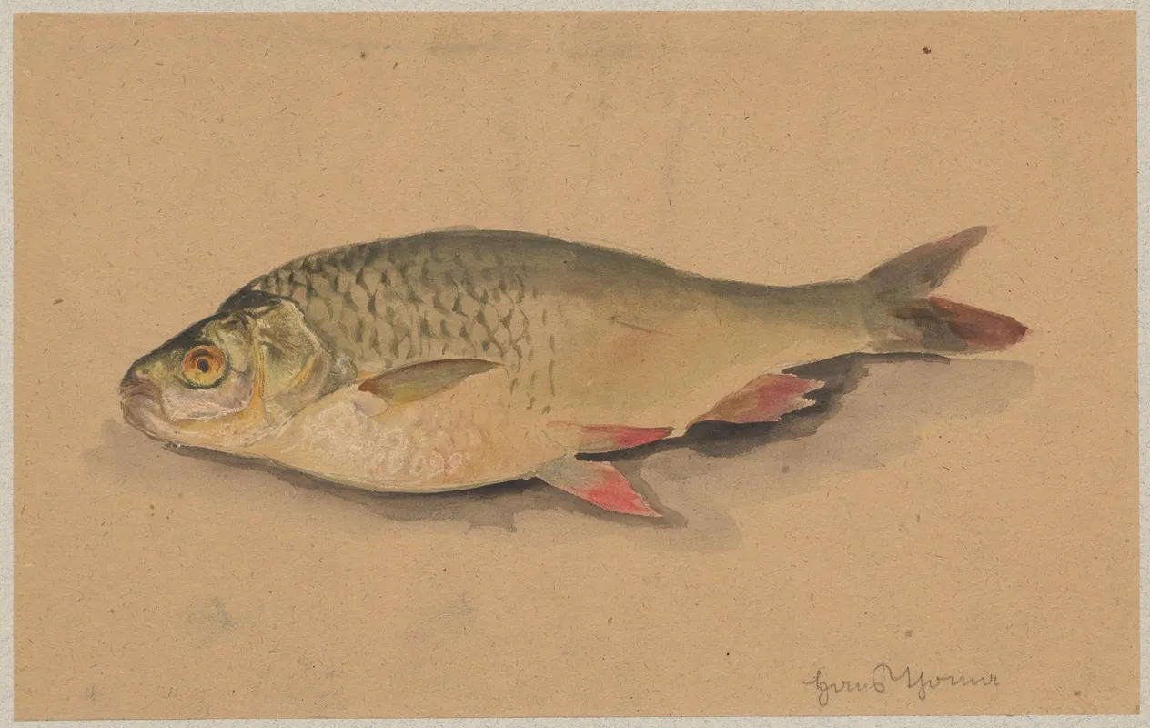 Fish 5 Wall Art by Hans Thoma - High-Resolution Digital Print