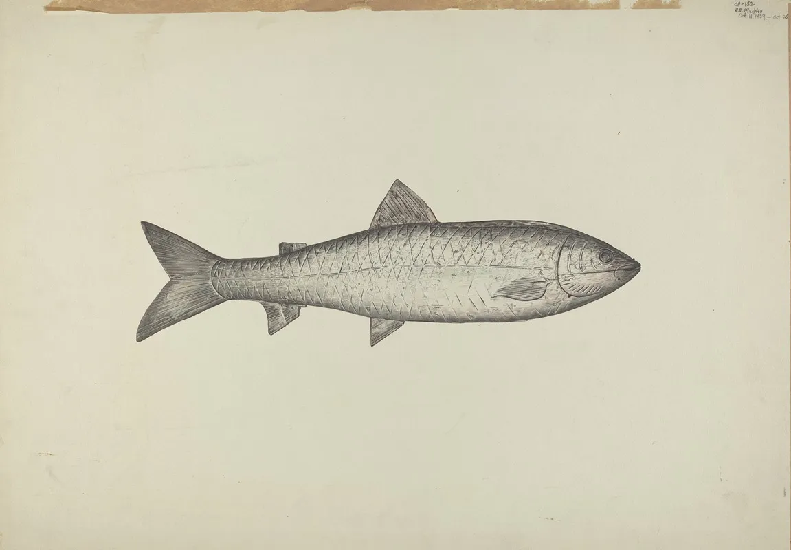 Fish Shop Sign