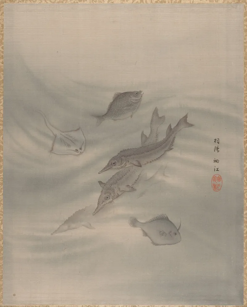 Fishes 2