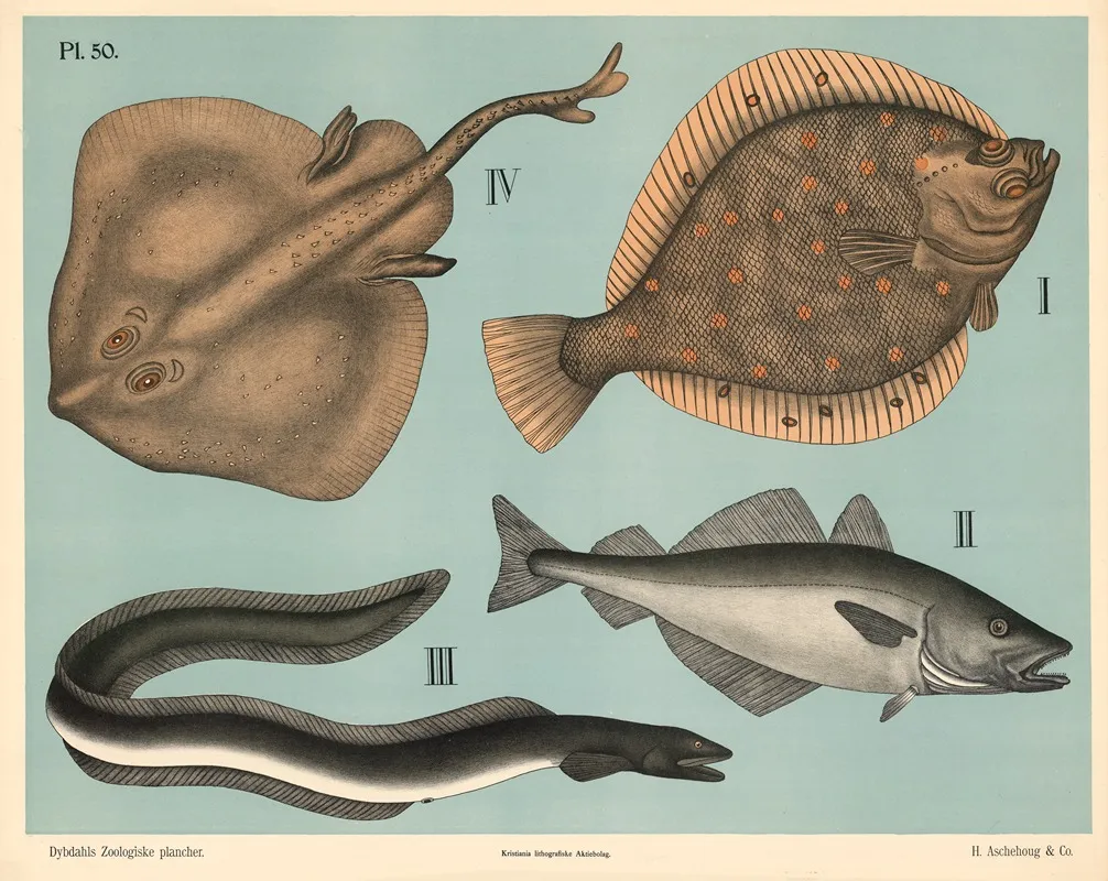 Fisk Blodfinnede Fisk 2 Wall Art by Peter Dybdahl - High-Resolution Digital Print