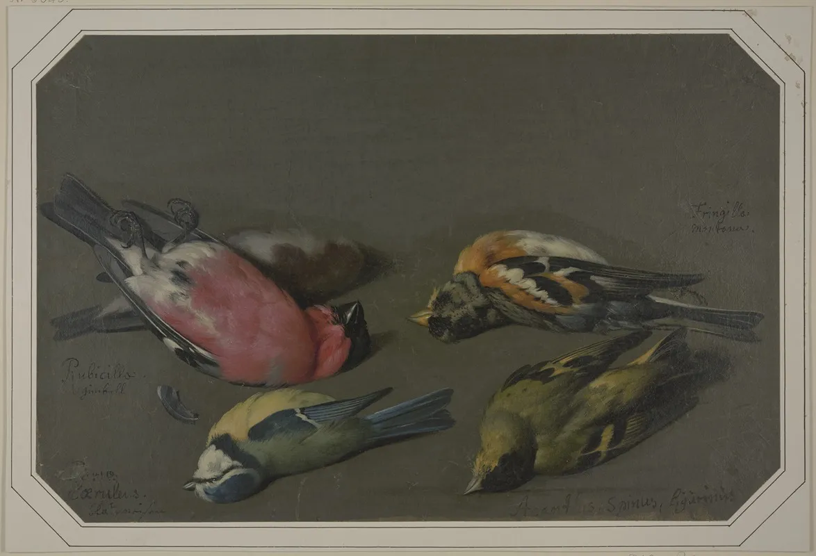 Five Dead Birds Wall Art by Philipp Ferdinand de Hamilton - High-Resolution Digital Print