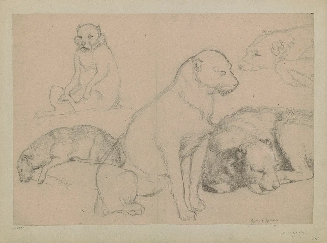 Five Dog Studies Wall Art by Hans Thoma - High-Resolution Digital Print