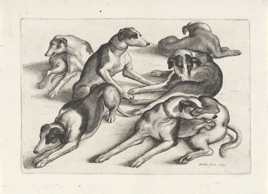 Five Hounds Lying On The Ground Licking Themselves