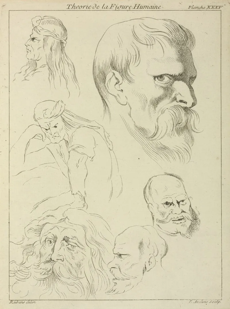 Five Studies Of Mens Heads Displaying Various Hair Styles Beards And Mustaches One Seated Figure Half Length Wall Art by Peter Paul Rubens - High-Resolution Digital Print