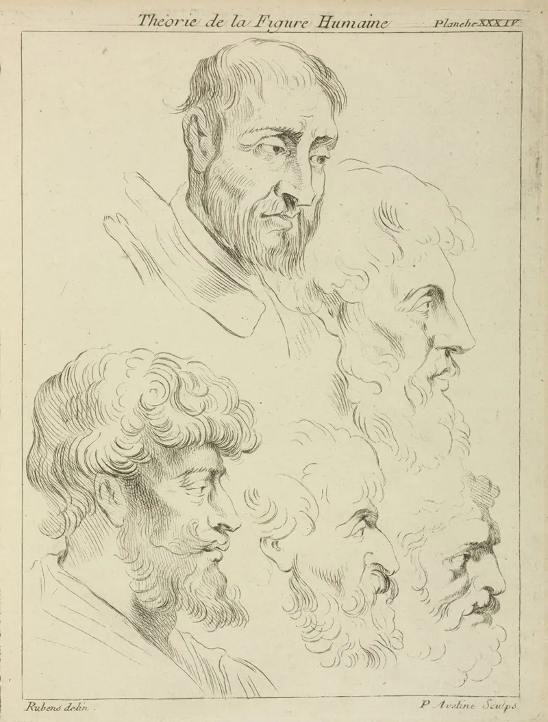 Five Studies Of Mens Heads Four In Profile Wall Art by Peter Paul Rubens - High-Resolution Digital Print