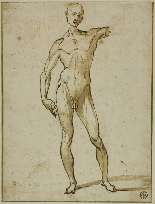Flayed Man