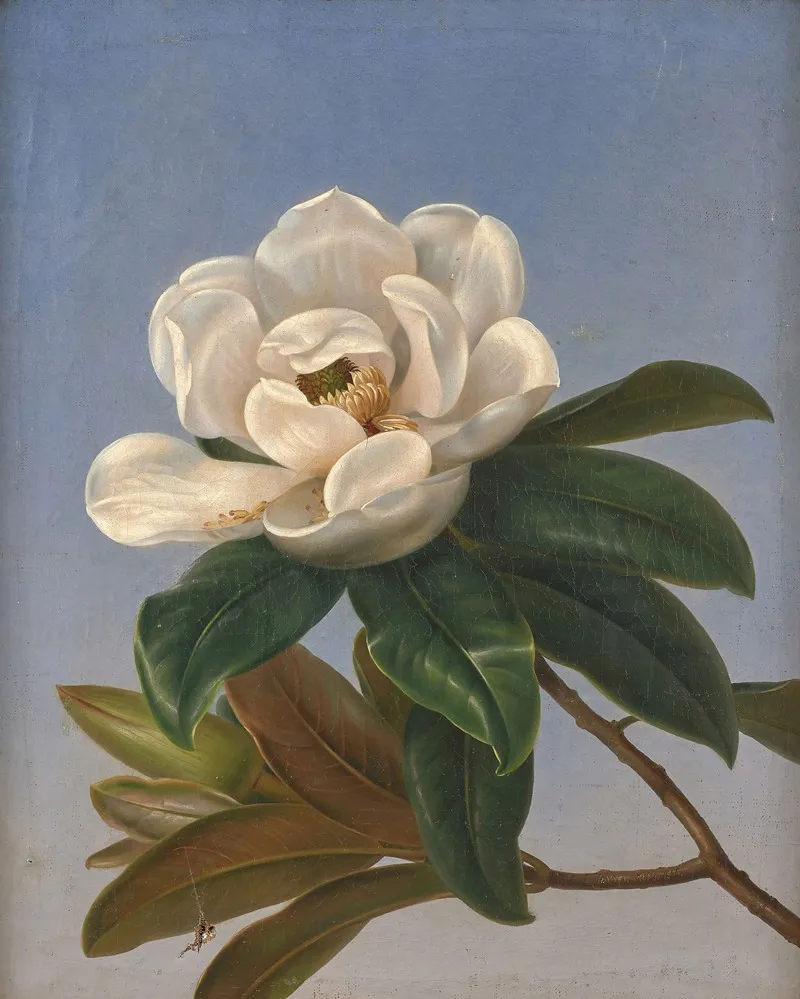 Fleur De Magnolia Wall Art by Johan Laurentz Jensen - High-Resolution Digital Print