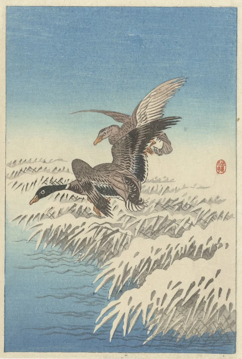 Flock Of Ducks Flying Above Snowy Reed Collar Wall Art by Ohara Koson - High-Resolution Digital Print