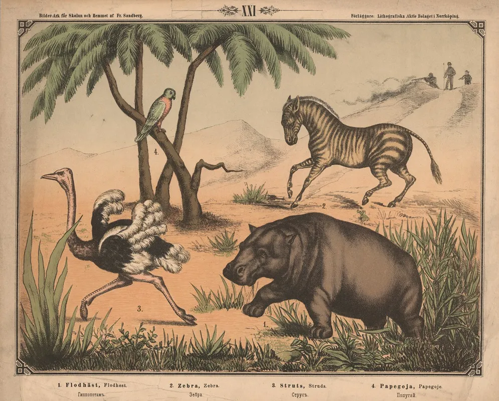Flodhest Zebra Struds Og Papegoje Wall Art by Fredrik Sandberg - High-Resolution Digital Print
