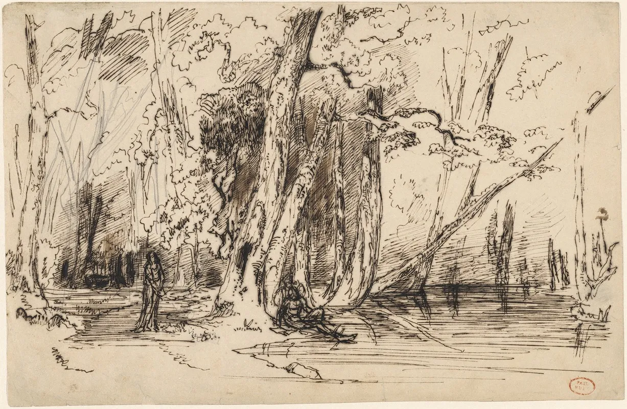 Flooding In The Forest Of The Ile Seguin