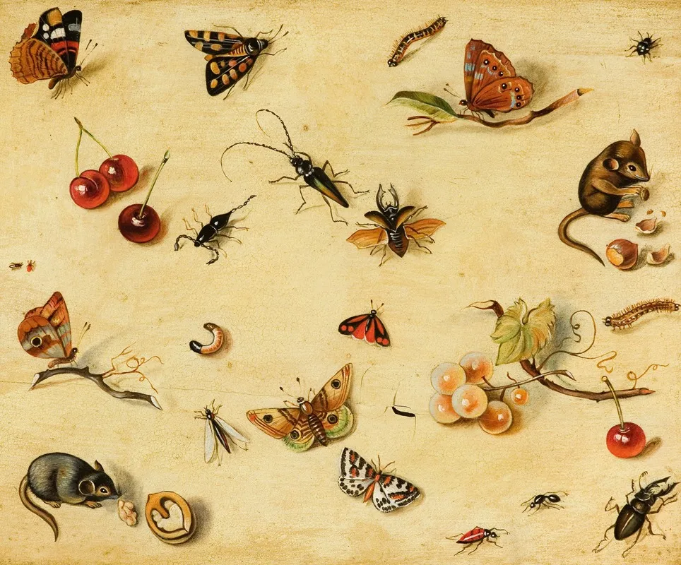 Flora And Fauna