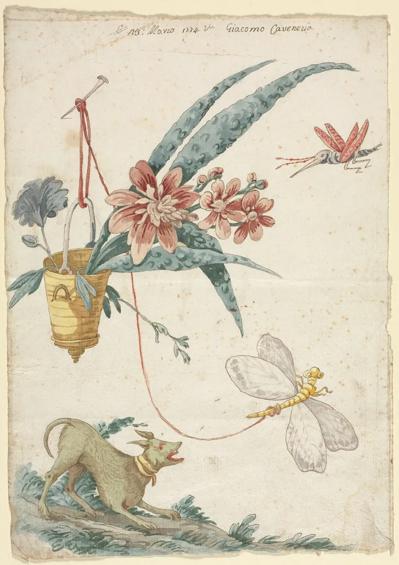 Floral Design With Dog And Insects Wall Art by Giacomo Cavenezia - High-Resolution Digital Print