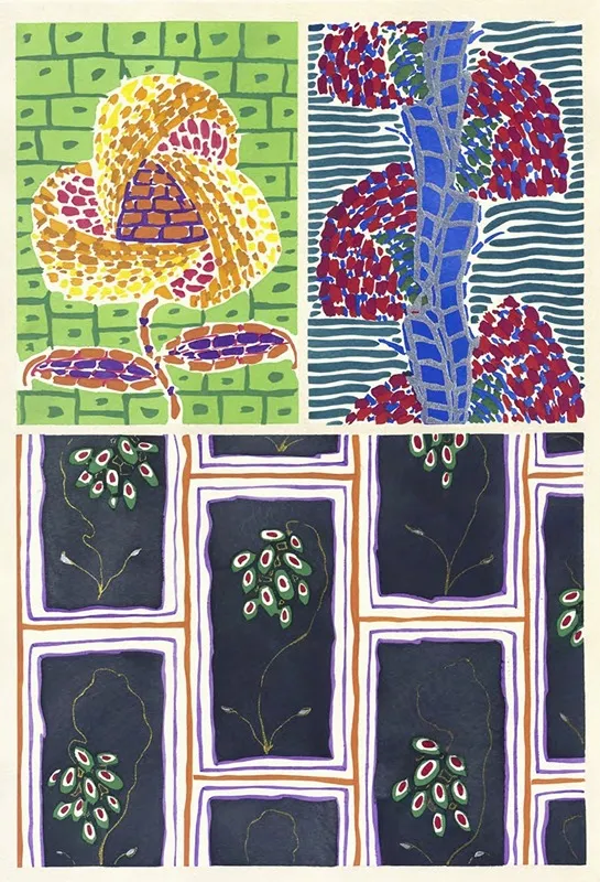 Floreal Dessins Coloris Nouveaux Pl 12