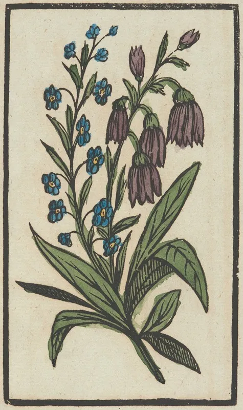 Flower 14