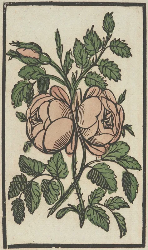 Flower 15