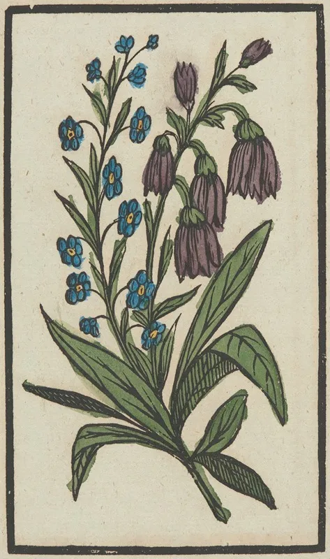 Flower 17
