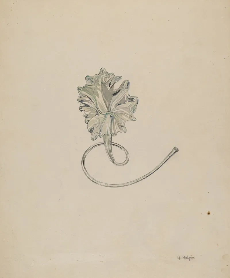 Flower Lily