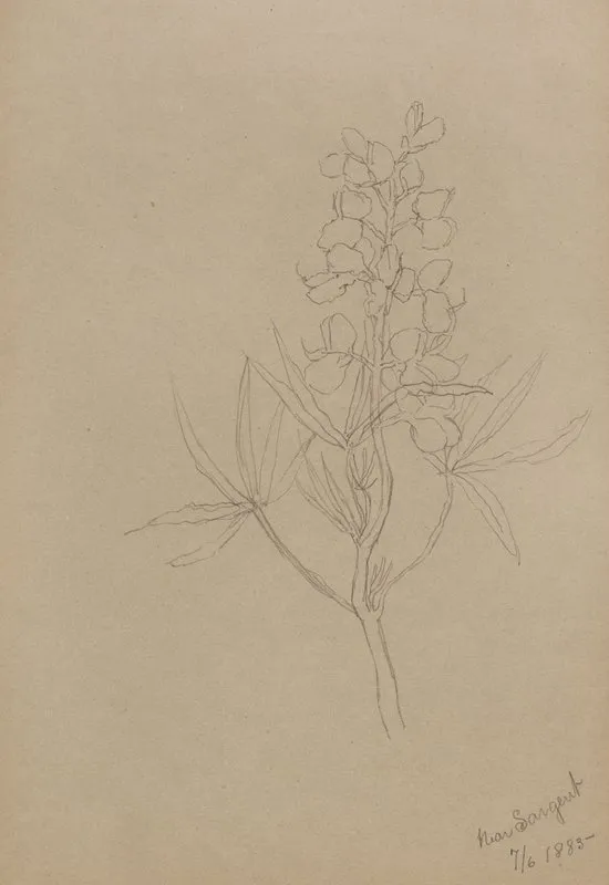 Flower Study 18