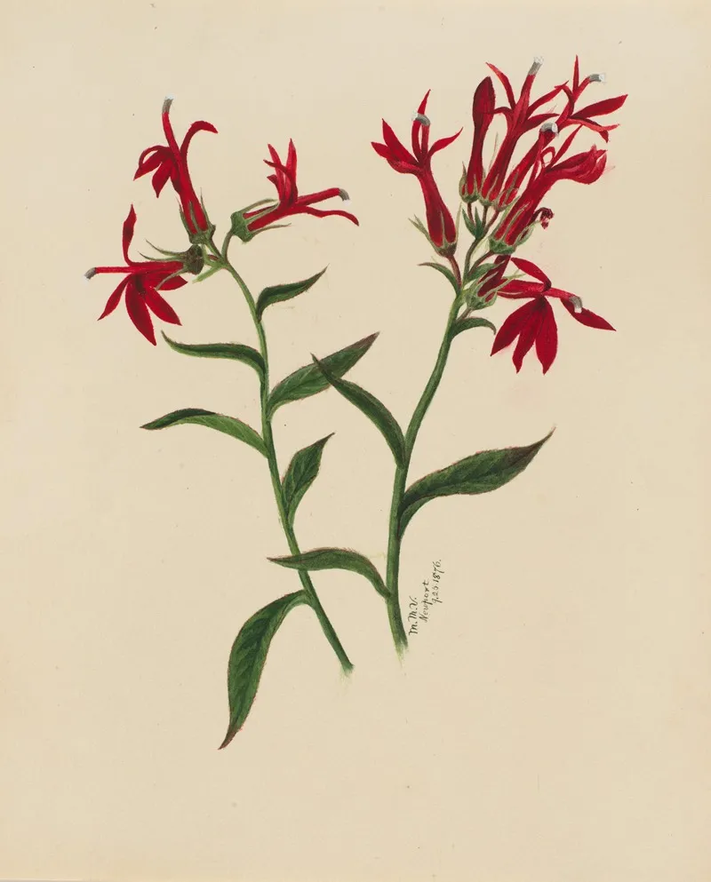 Flower Study 21