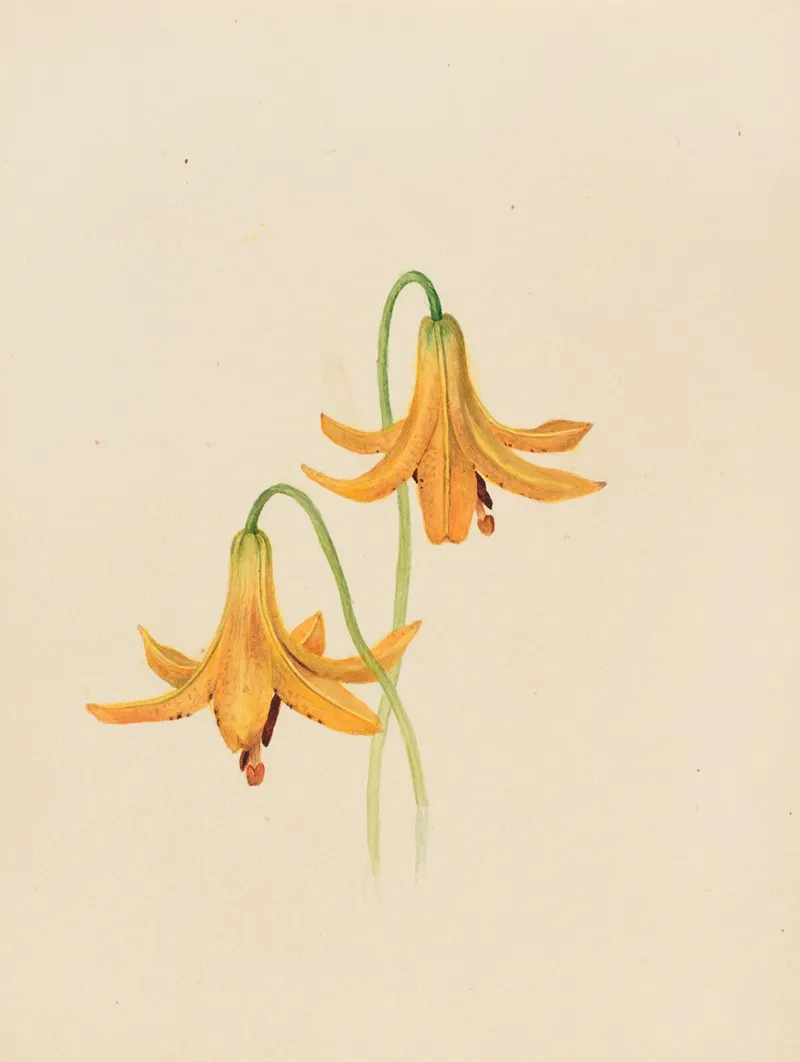 Flower Study 26