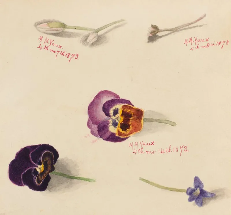 Flower Study 27