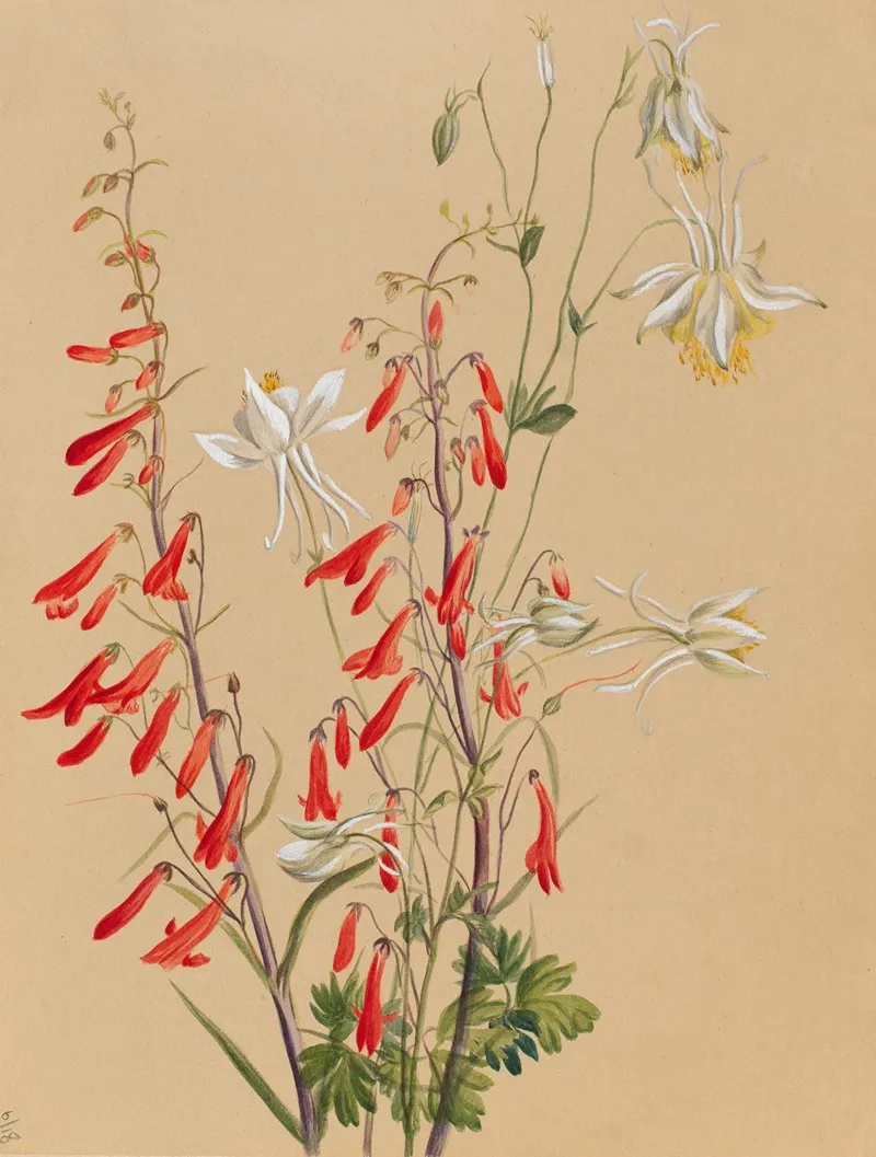 Flower Study 40